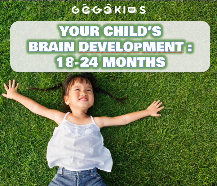 Your Child’s Brain Development: 18 to 24 Months