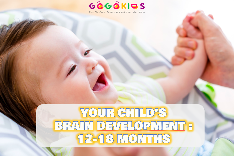 Your Child’s Brain Development: 12 to 18 Months